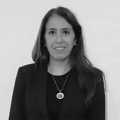 Medio siglo después, la ley que rige a las empresas argentinas puede llegar a su fin