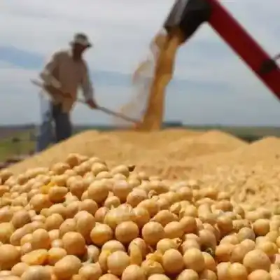 Retenciones exportación granos
